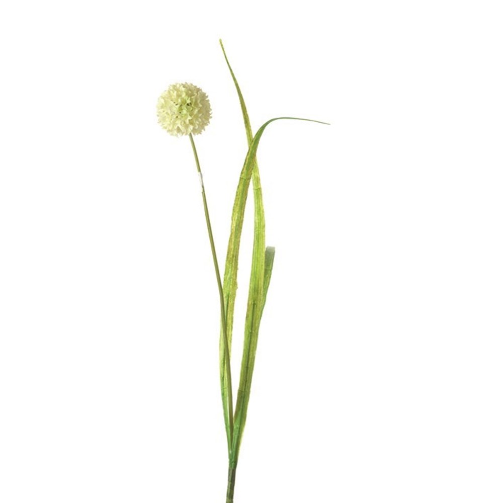 Leonardo Kytka Alium 50 cm bílá Leonardo