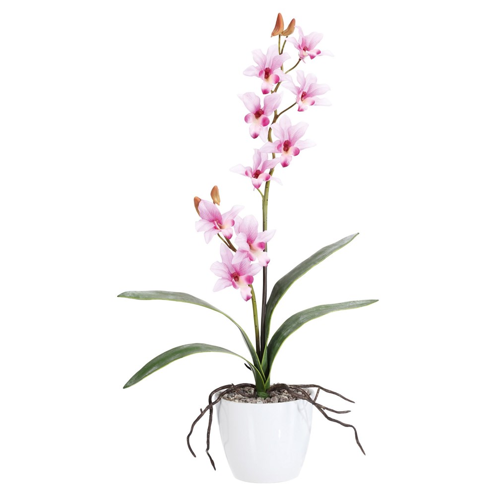 Gasper Orchidej 60cm růžová (bez květináče) Gasper