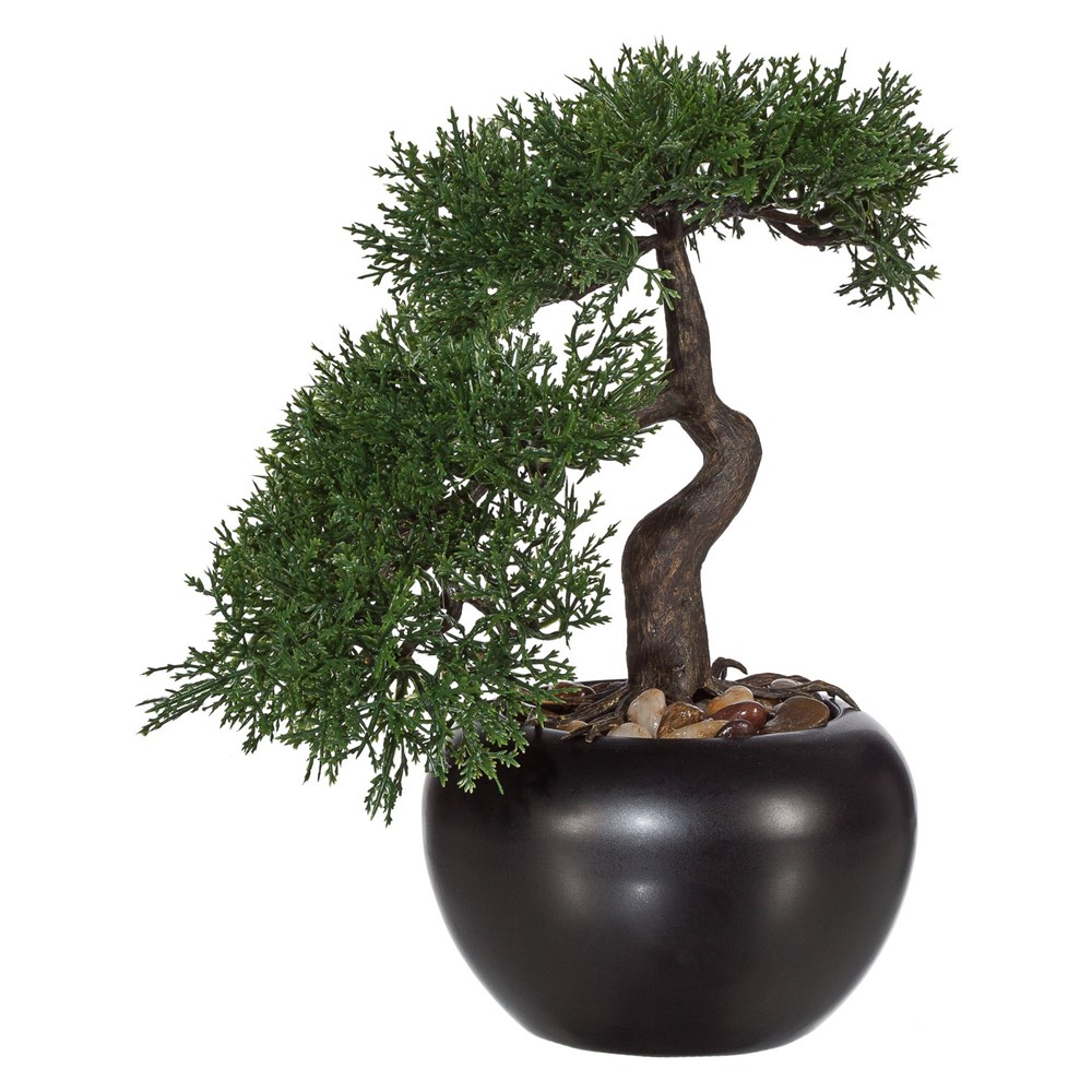 Gasper Bonsai CEDR 25 cm (vč.květináče) Gasper