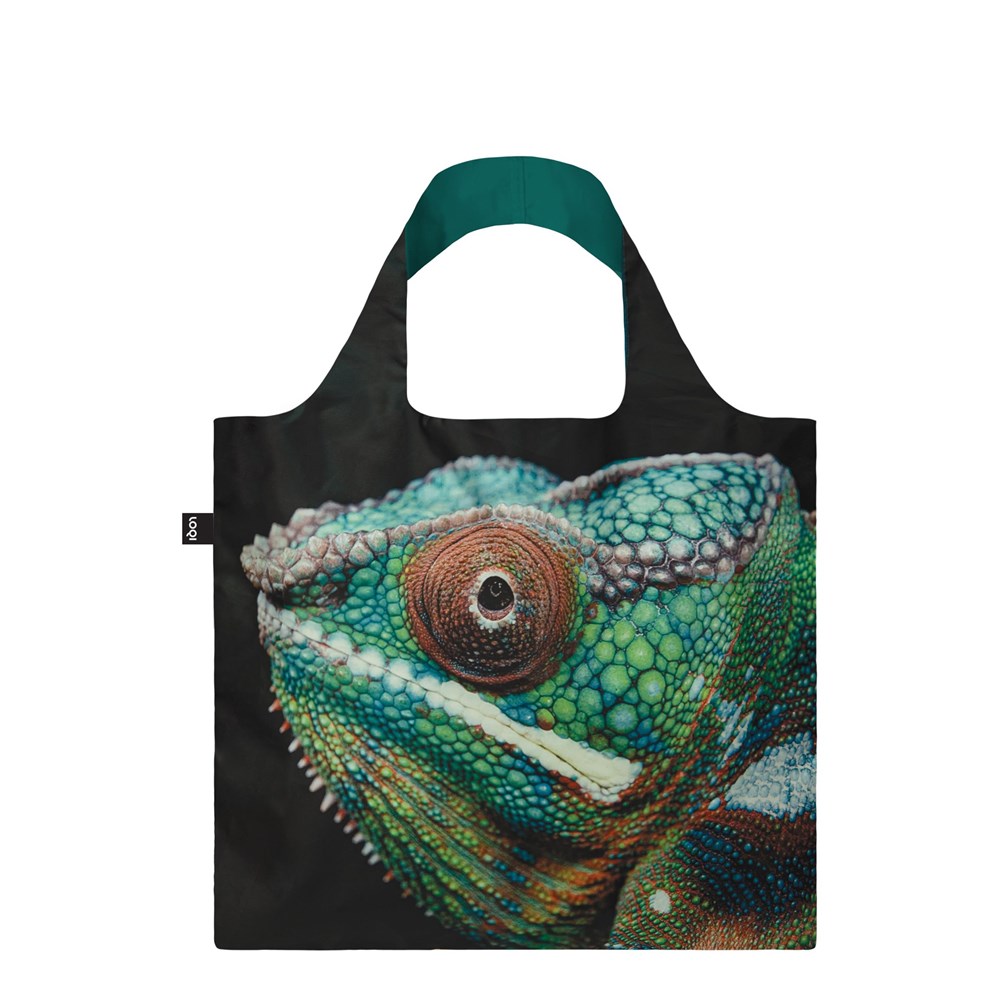 Taška LOQI - Artist - NATIONAL GEOGRAPHIC LOQI