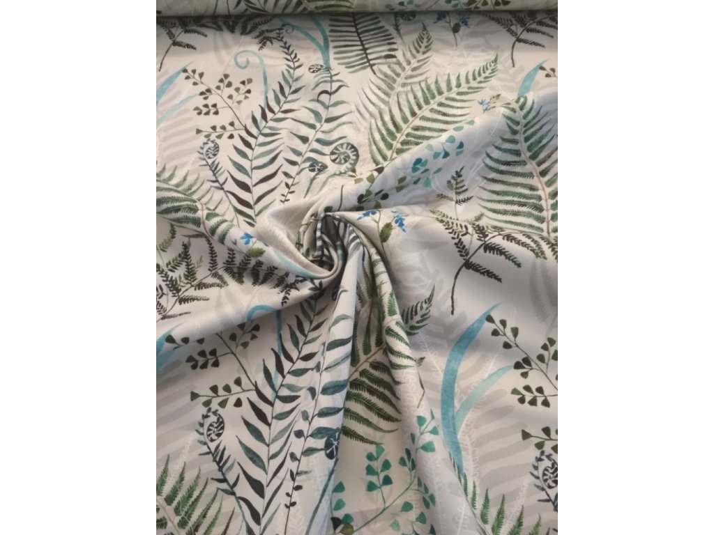 Teplákovina kapradí