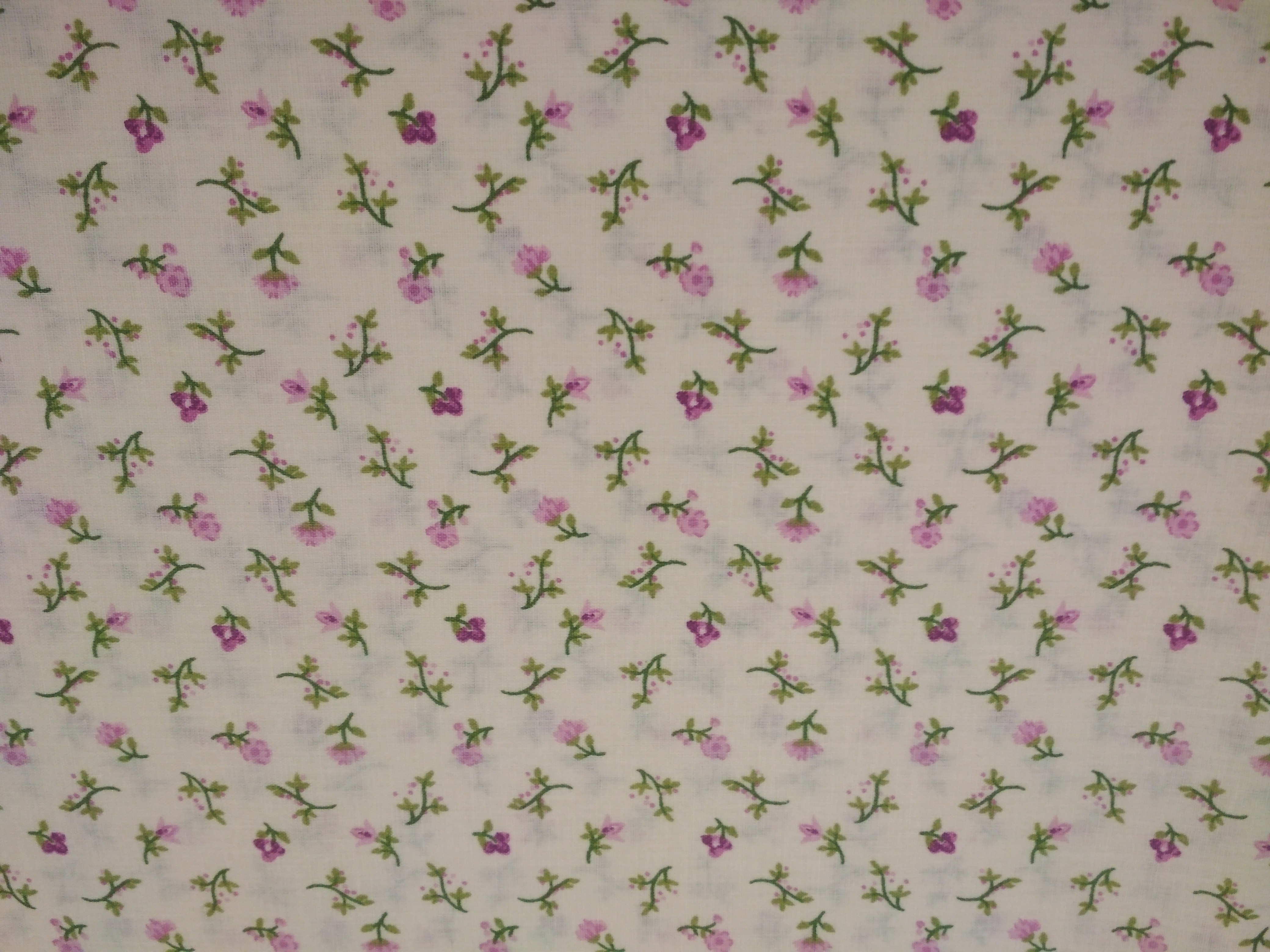 Bavlněné plátno kvítky fialkové na smetanové