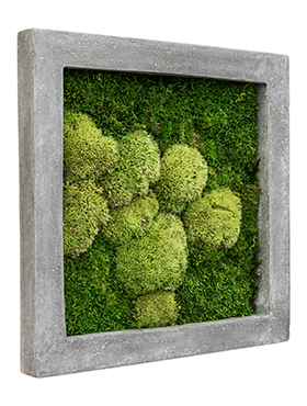 Flower Service s.r.o Mechový obraz Polystone raw grey 50x50 cm Flower Service s.r.o