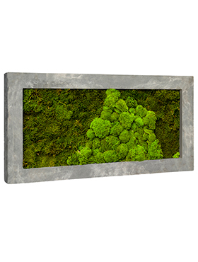 Flower Service s.r.o Mechový obraz Polystone raw grey 100x50 cm Flower Service s.r.o