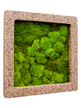 Flower Service s.r.o Mechový obraz Polystone nature cast 70x70 cm Flower Service s.r.o