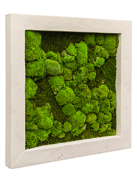 Flower Service s.r.o Mechový obraz Polystone natural 70x70 cm Flower Service s.r.o