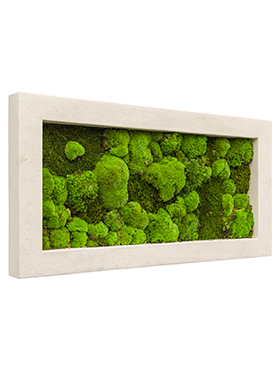 Flower Service s.r.o Mechový obraz Polystone natural 100x50 cm Flower Service s.r.o