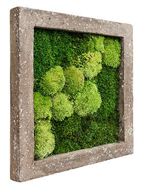 Flower Service s.r.o Mechový obraz Polystone rock 50x50 cm Flower Service s.r.o