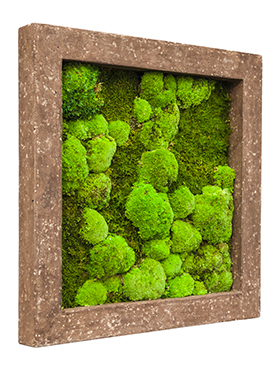 Flower Service s.r.o Mechový obraz Polystone rock 70x70 cm Flower Service s.r.o