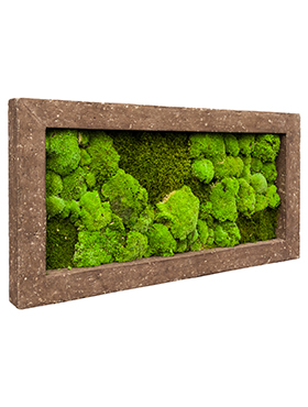 Flower Service s.r.o Mechový obraz Polystone rock 100x50 cm Flower Service s.r.o