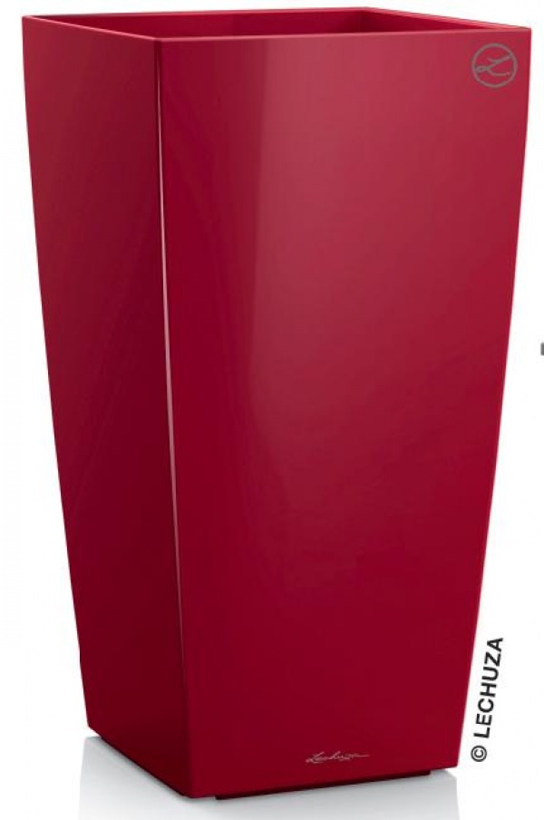 Lechuza Cubico Premium 30 cm - scarlet Lechuza