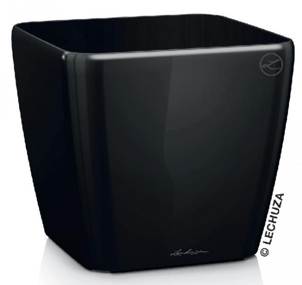 Lechuza Quadro LS 21 - černá Lechuza