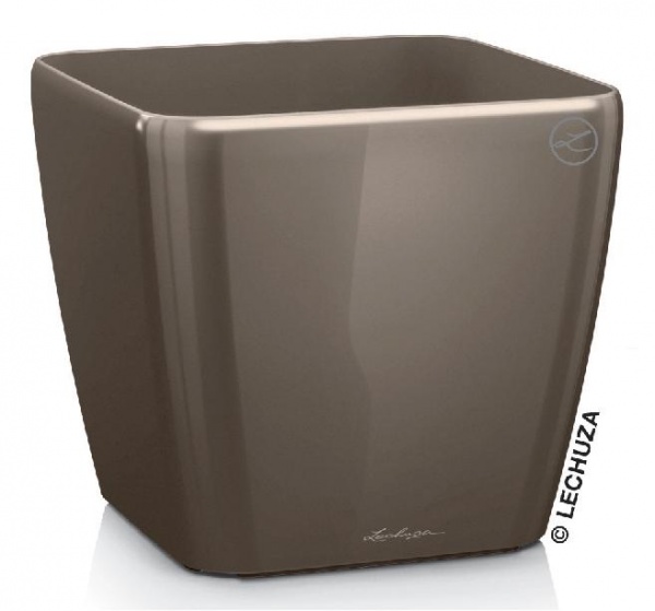Lechuza Quadro LS 28 - taupe Lechuza