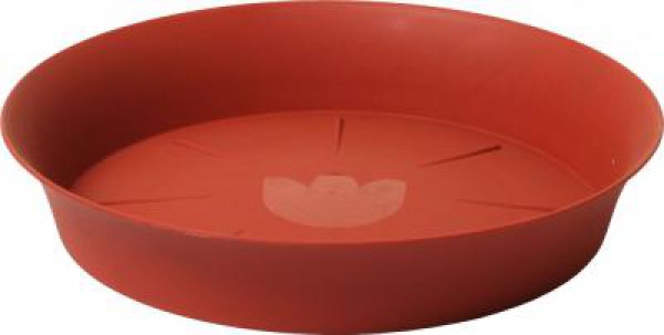 Plastia Miska Tulipán 24 - terra Plastia