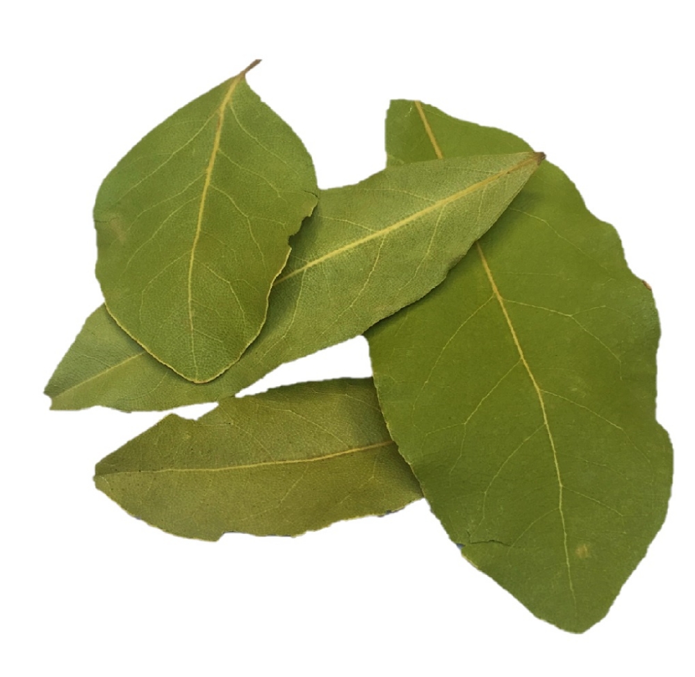 Bobkový list celý 6g IDC-FOOD s.r.o.