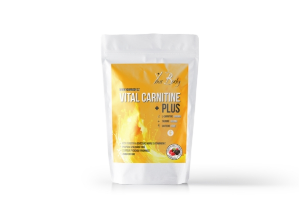 Vital Carnitine Plus Lesní Plody 500g IDC-FOOD s.r.o.