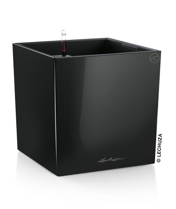 Lechuza Cube Premium 50 - černá Lechuza
