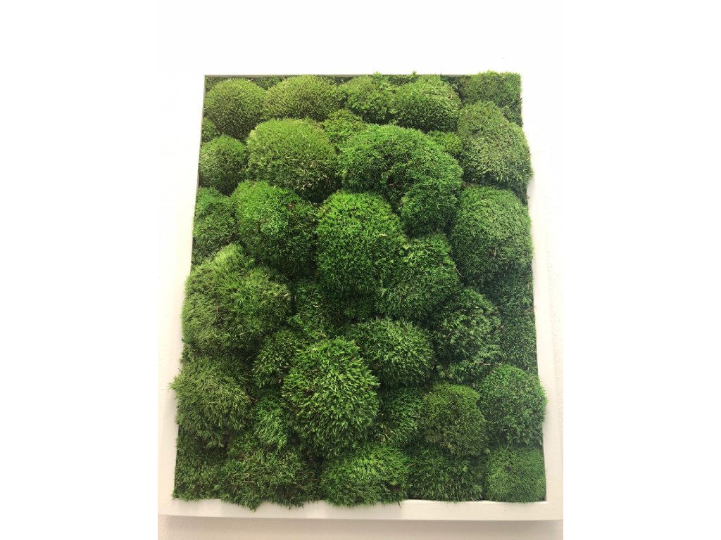 Flower Service s.r.o Mechový obraz 40x50 cm - bochánky Flower Service s.r.o