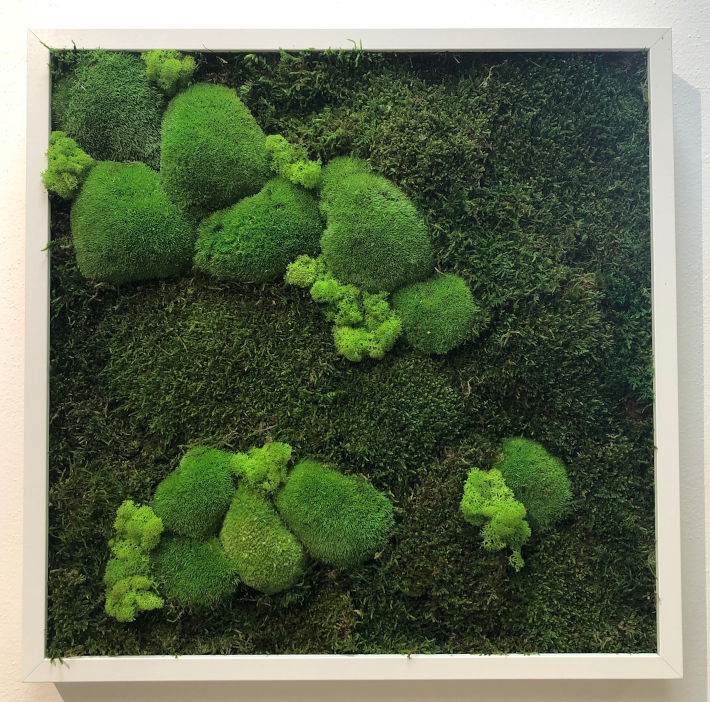 Flower Service s.r.o Mechový obraz 50x50 cm - mix bochánky