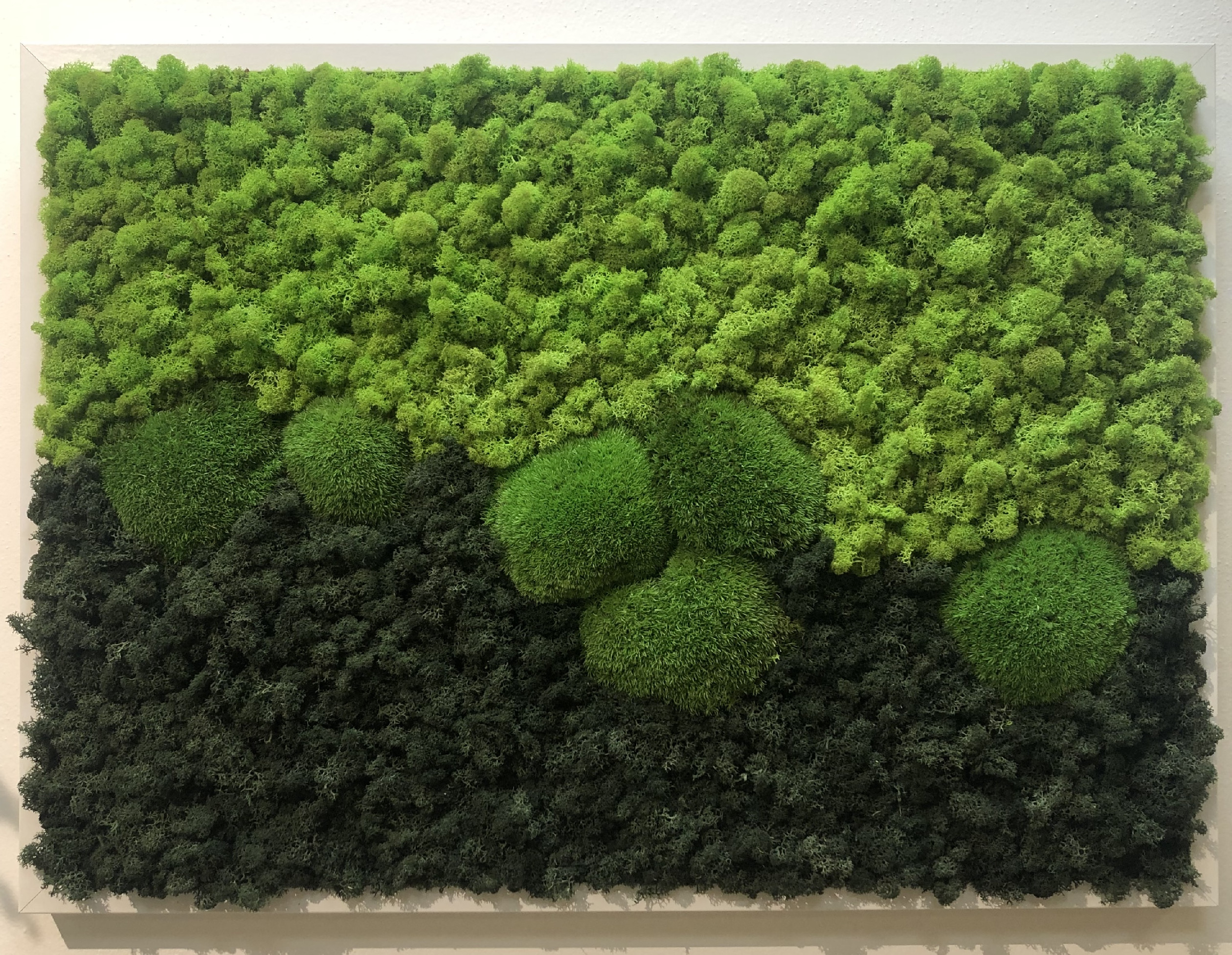 Flower Service s.r.o Mechový obraz 40x50 cm - mix lišejník a bochánky Flower Service s.r.o