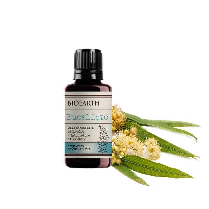 Esenciální olej Eukalyptus BIO KrasnaNaMiru-cz