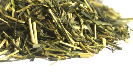 Kagoshima Kukicha BIO - 100g Darjeeling.cz