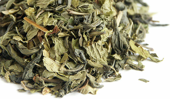Le Touarég - 100g Darjeeling.cz