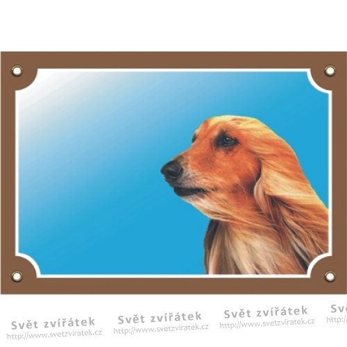 Barevná cedulka pozor pes