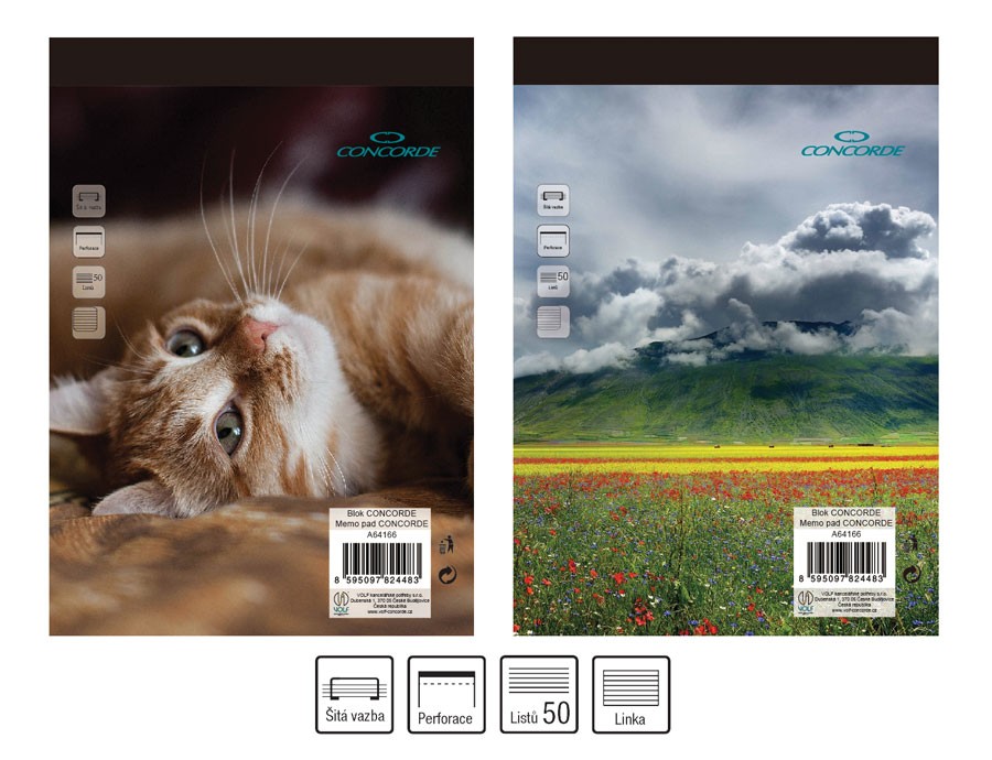 Blok A6 50listů linka CONCORDE A64166 Papermax-cz
