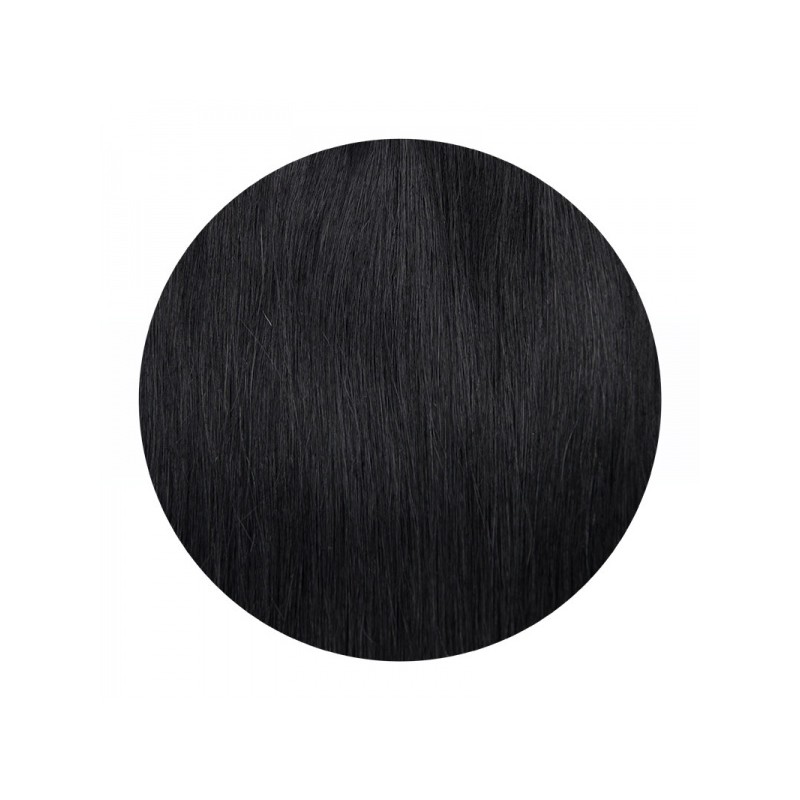 Clip In REMY HOLLYWOOD