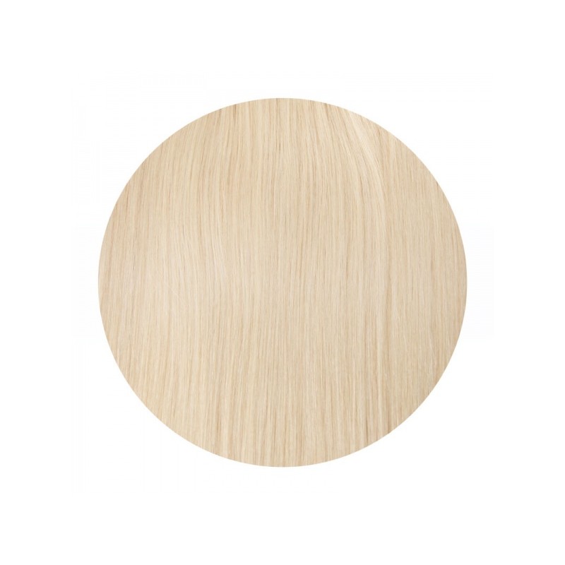 Clip In REMY HOLLYWOOD