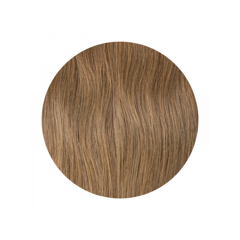 Clip In REMY HOLLYWOOD