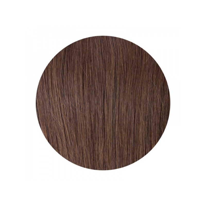 Clip In REMY HOLLYWOOD