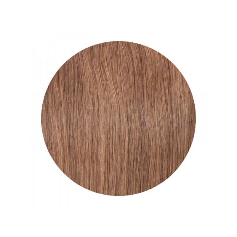 Clip In REMY HOLLYWOOD