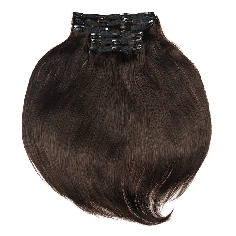 Clip In REMY HOLLYWOOD