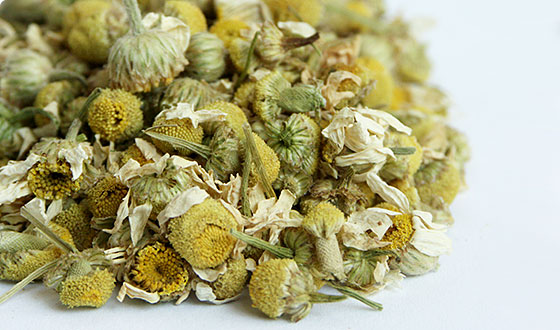 Bio Heřmánek  - 100g Darjeeling.cz