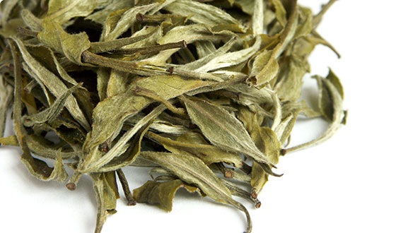 Darjeeling Namring Upper White Tea EX 469/19  - 100g Darjeeling.cz