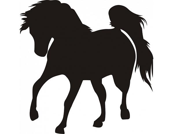 Samolepící dekorace Kůň Nibowaka - Jana Vondrušová