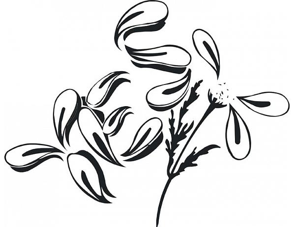 Forliving Samolepící dekorace Květina 2 Nibowaka - Jana Vondrušová