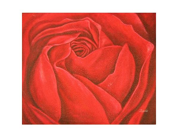 Obraz - Detail rozvité růže 100PA