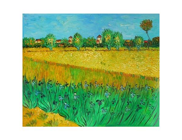 Obraz - Kukuřičné pole 100PA