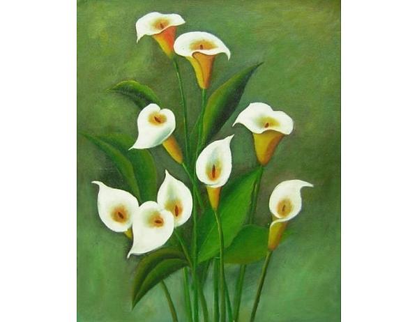 Obraz - Trošek bílé 100PA