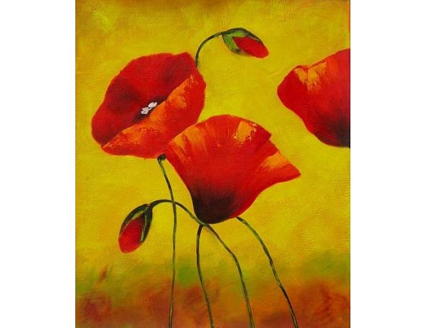 Obraz - Vlčí máky I. 100PA