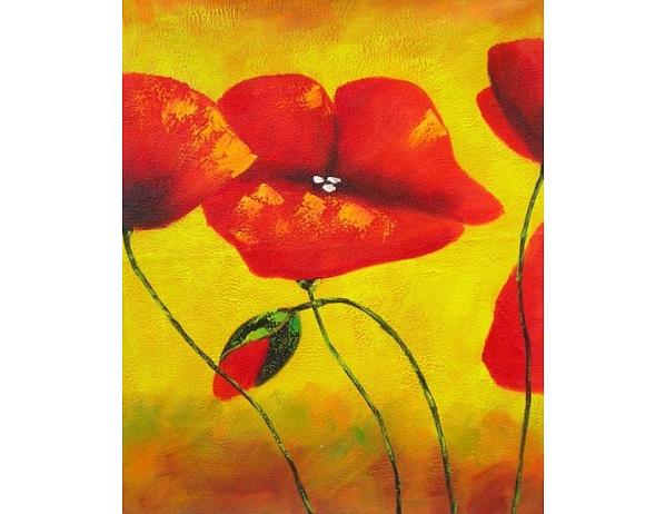 Obraz - Vlčí máky II. 100PA