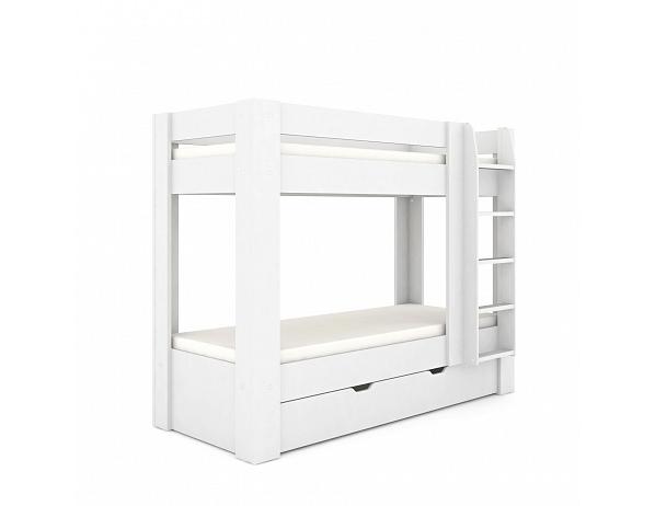 Drevona Pikachu Ellite (Drevona)