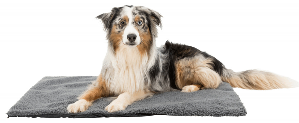 Termo deka s vnitřní teplo-odrážející vrstvou