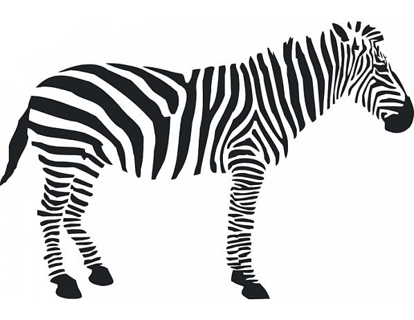 Samolepící dekorace Zebra Nibowaka - Jana Vondrušová