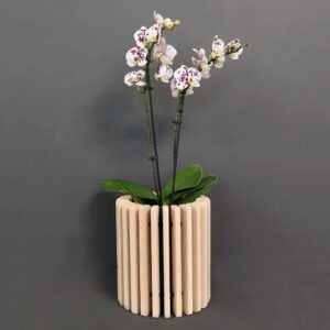 AMADEA Dřevěný obal na květináč válec z masivního dřeva