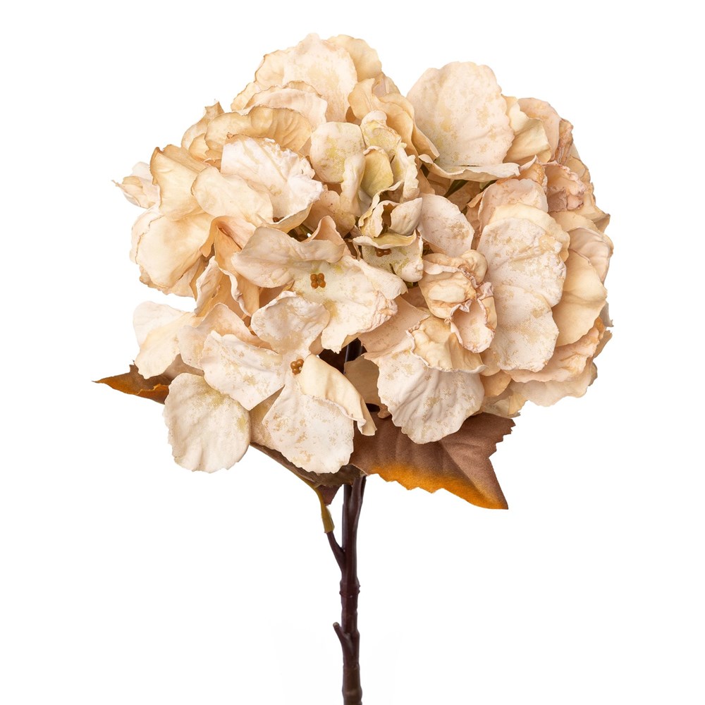 Gasper Hortenzie 48 cm béžová Gasper