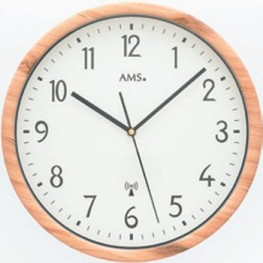 AMS 5576 - hodiny řízené signálemAMS